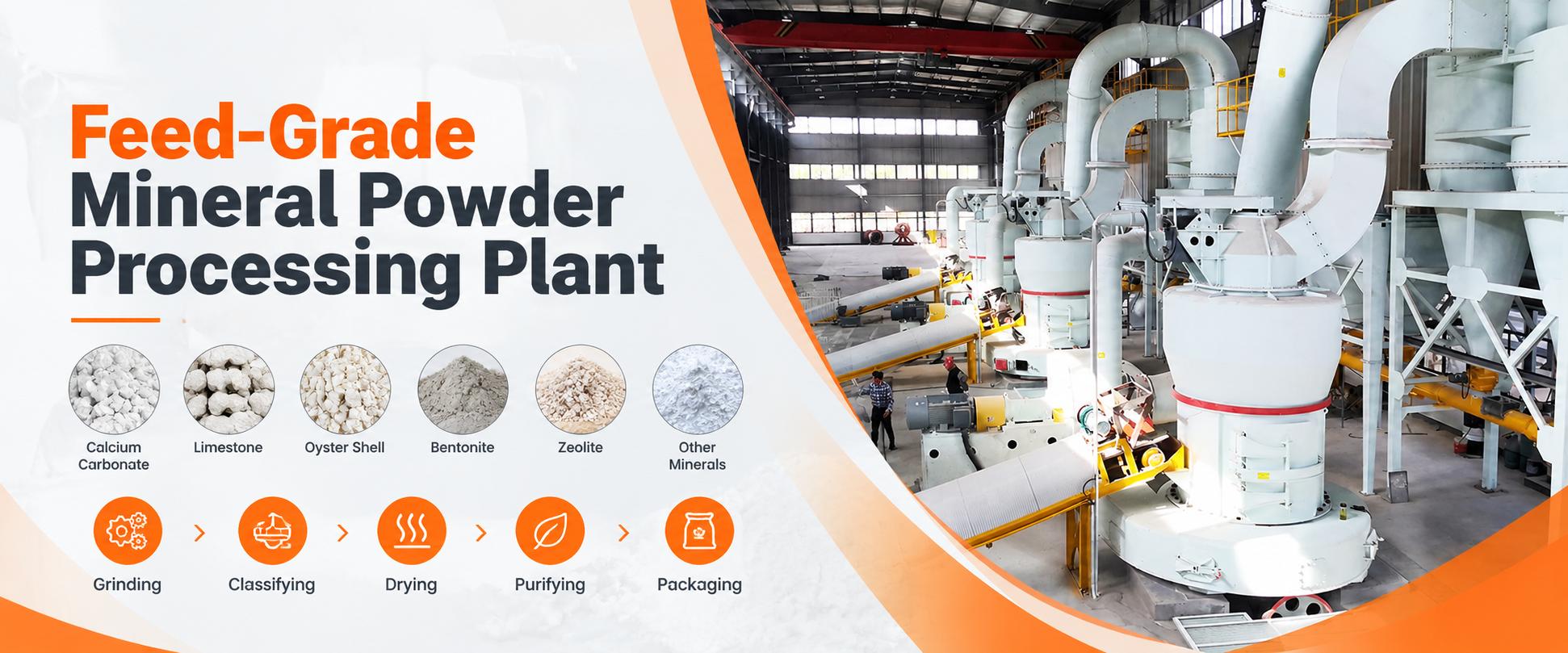 Feed Mineral Processing