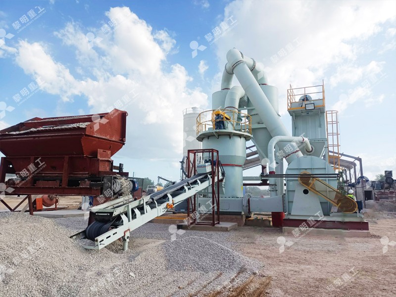 Limestone and dolomite powder processing plant reference