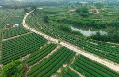 Limestone powder for environmental and agricultural uses