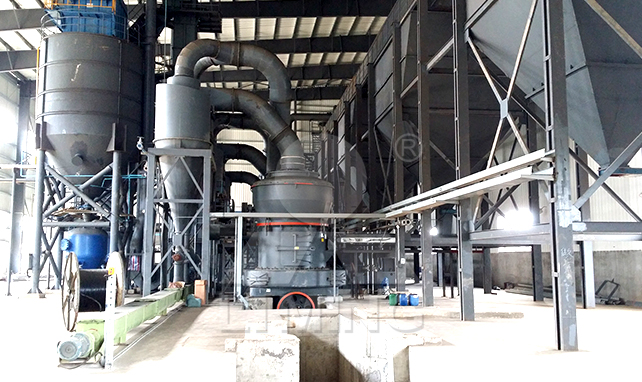 Grinding machine for petroleum coke